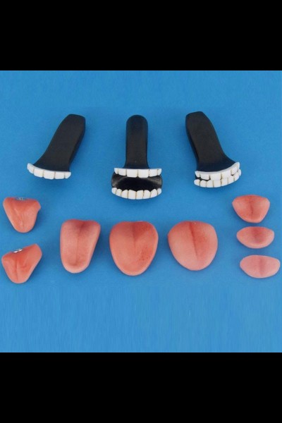 Teeth and Tongue Kits (Resin)